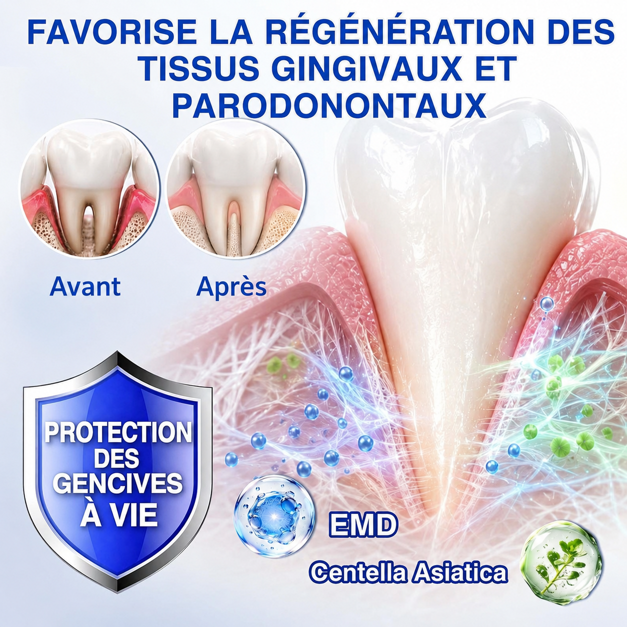 🦷Gel de réparation parodontale Healrize® GumRevive (pour les saignements et la rétraction des gencives ainsi que le déchaussement des dents)🐳