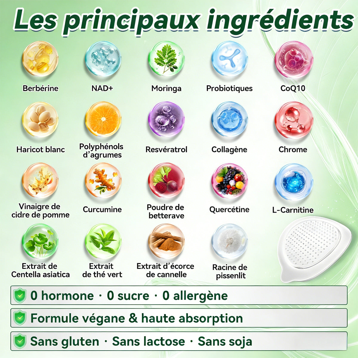 H𝐞a𝐥r𝐢z𝐞®Bénéficiez de 30% de réduction pour l'ajout du deuxième 🔥🔥